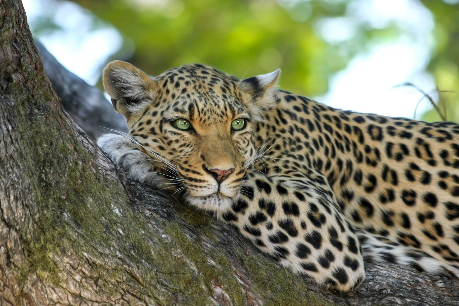 Akagera-national-park-safari-rwanda