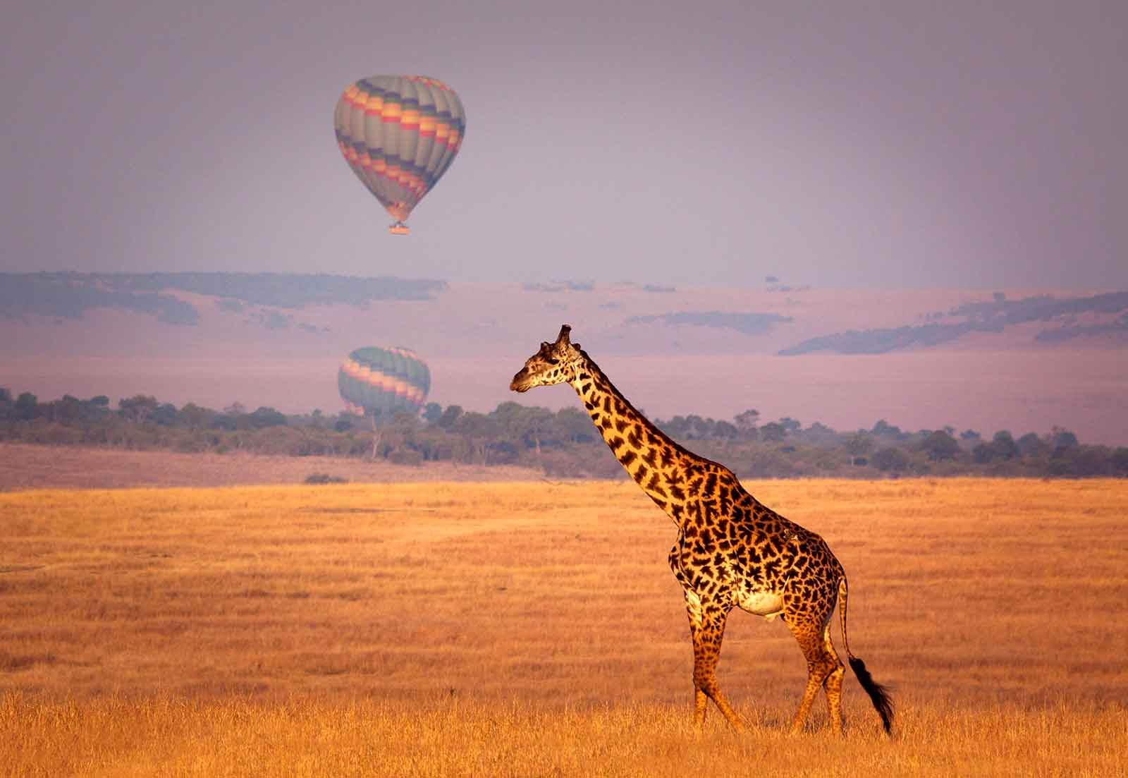 kenya