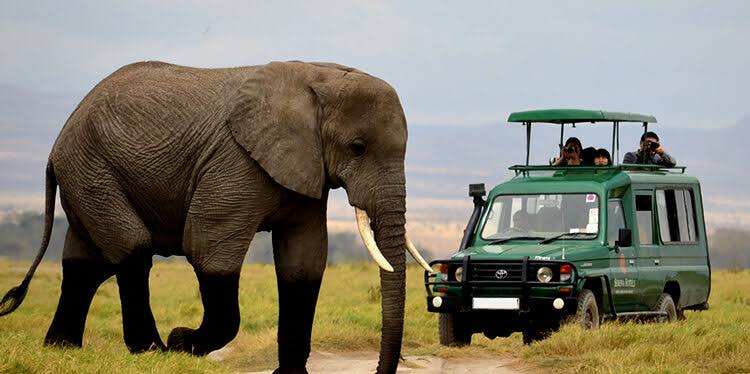 Akagera National Park Safaris